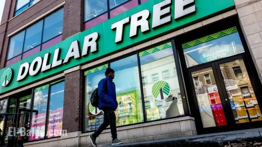 High-Earning Shoppers Propel Dollar Tree’s Growth