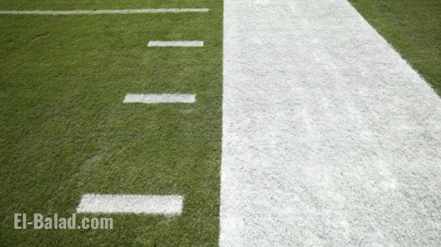 NFL and NFLPA Approve New Model for Selecting Playing Surfaces