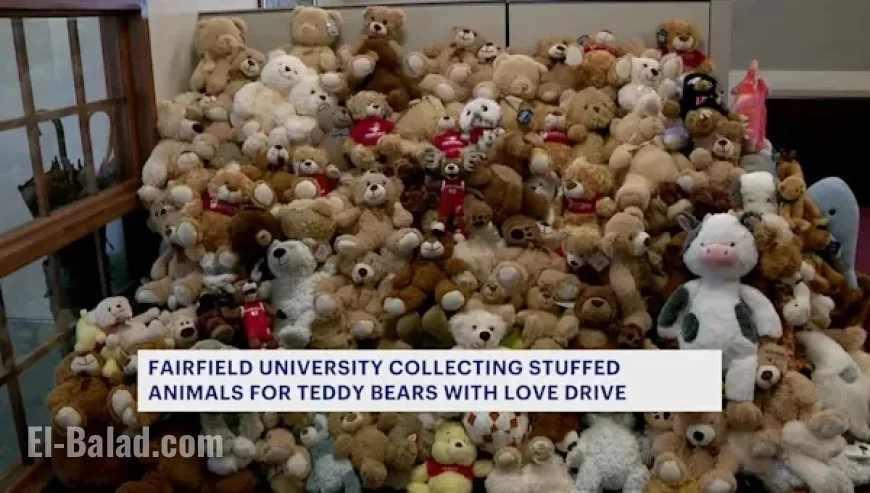 Fairfield University Launches Annual Teddy Bears with Love Donation Drive