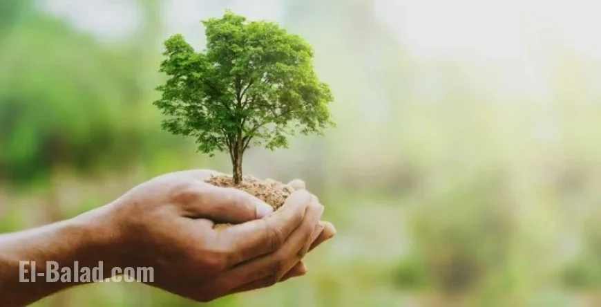 Discount Retailers Thrive, Surpassing Earnings Expectations