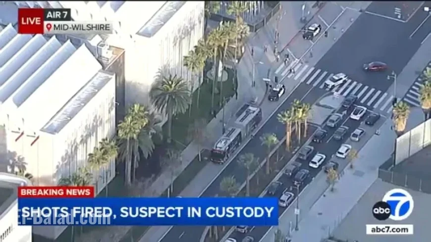 Woman Arrested for Allegedly Firing Gun Outside LA County Museum of Art