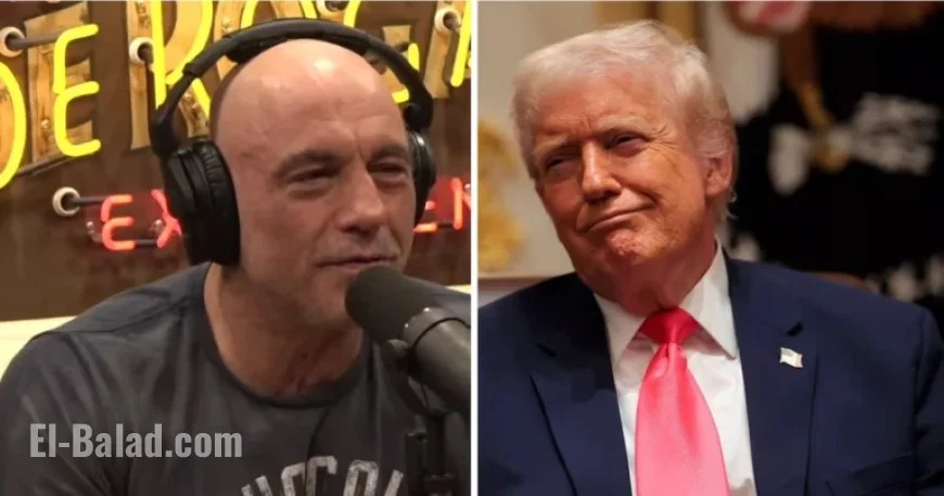Joe Rogan Reveals Trump’s Unusual Texting Habits