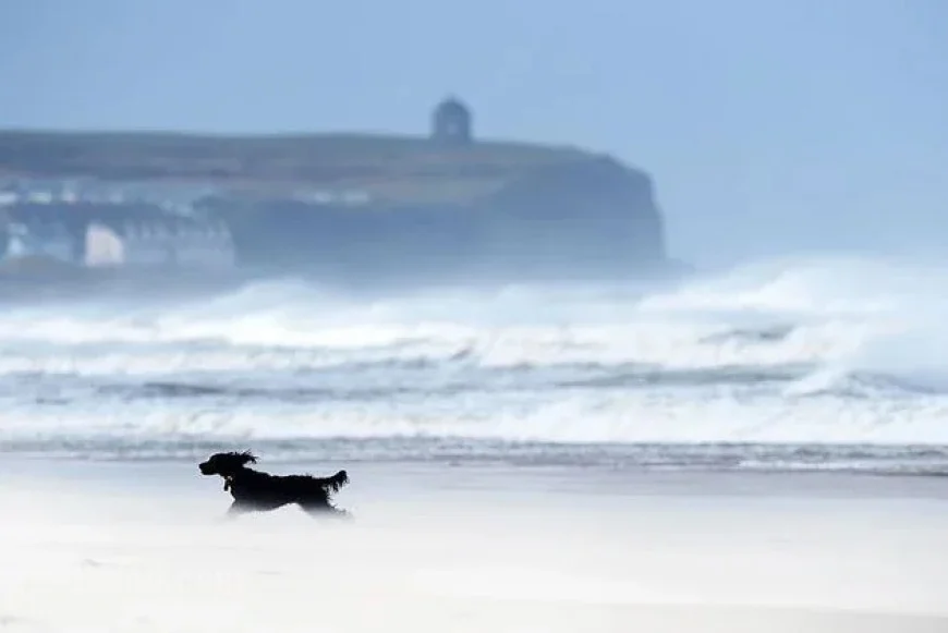 Yellow Weather Alert: 60mph Gusts Threaten Northern Ireland’s Coastline