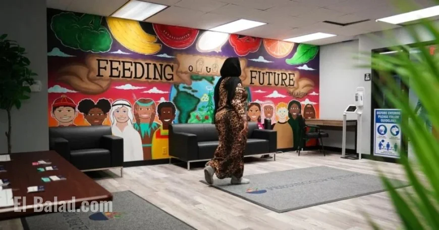 Minnesota Officials Detected Major Fraud Signs Pre-COVID