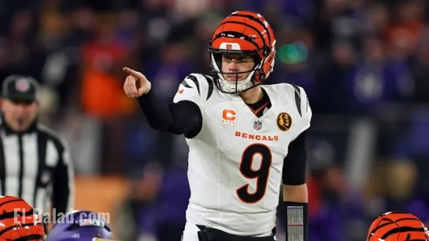 NFL Week 14: Key Bengals-Bills Matchups and Game Predictions