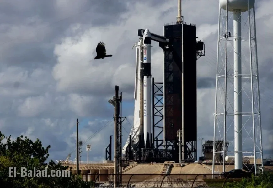 SpaceX Eyes Record $800B Valuation in Secondary Sale Talks