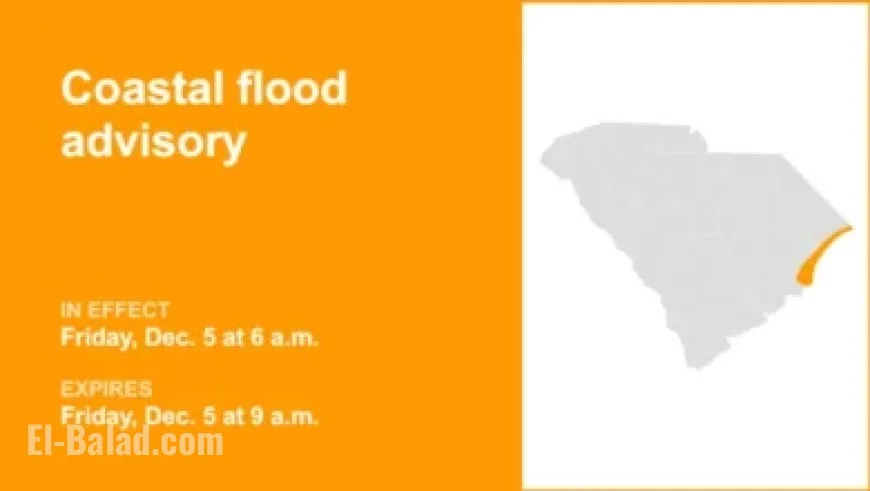 Red Wings Start Six-Game Road Trip with 6-5 Shootout Loss to Columbus
