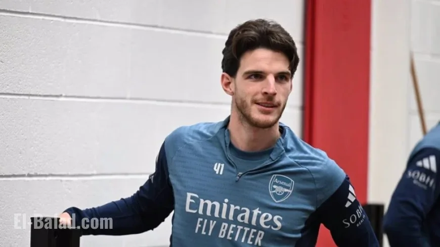 Rice Excels in Versatile Performance: An In-Depth Feature