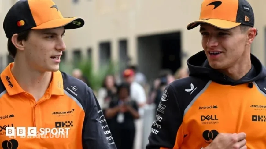 Zak Brown: McLaren to Use ‘Common Sense’ on Team Orders at Abu Dhabi GP