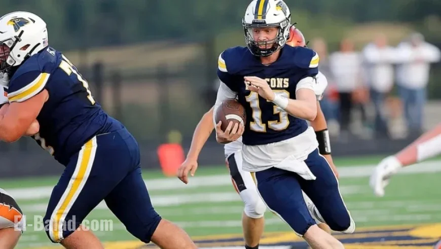 Stream Hillsdale vs. St. Henry OHSAA Championship Game Live