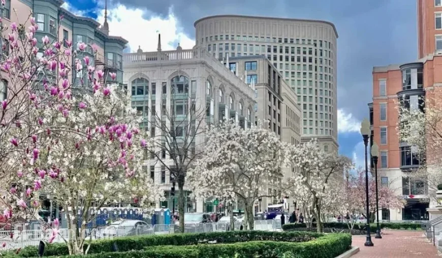 Aer Lingus Expands Boston Flights in Largest Schedule Unveiling