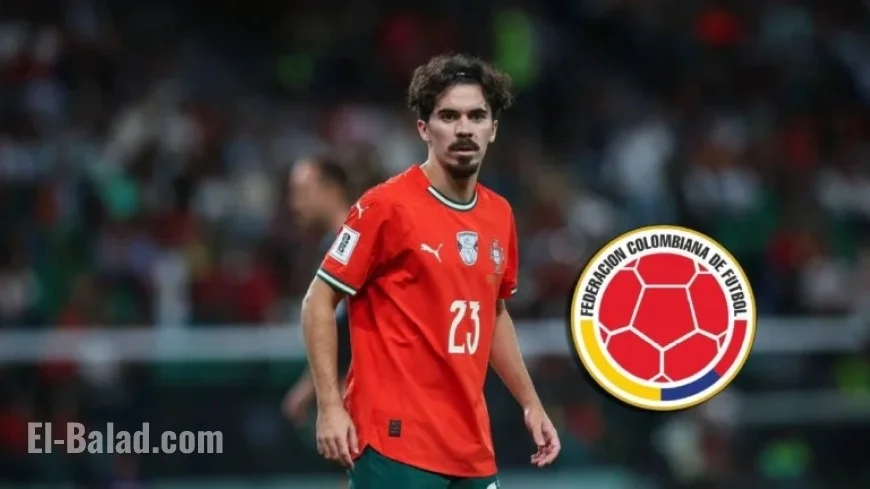 Vitinha Prepares for Challenging Colombia in Mundial 2026, Praises Luis Díaz