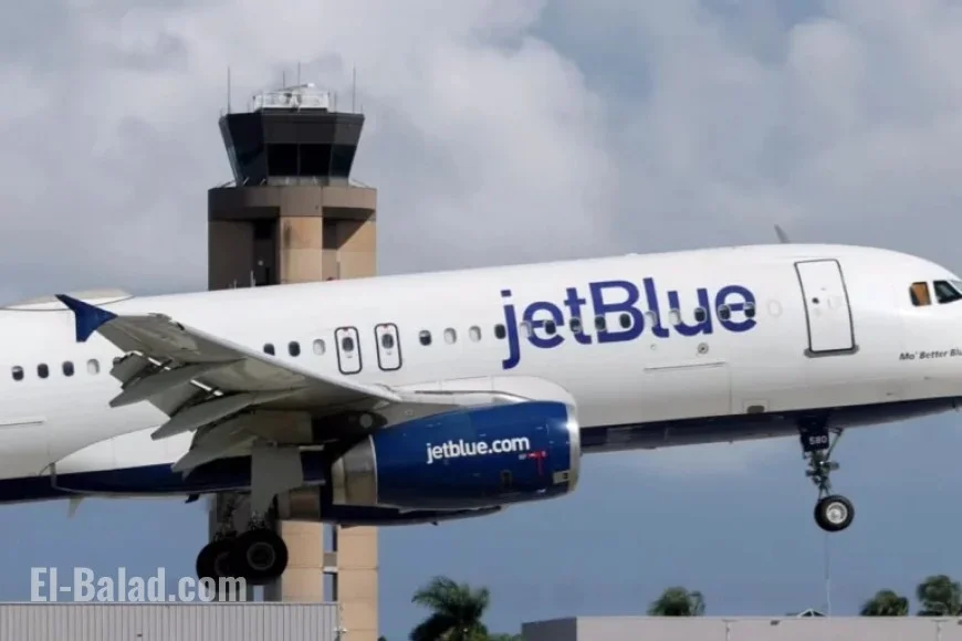 Professor Suggests Cosmic Rays Likely Caused Flight’s Plummet