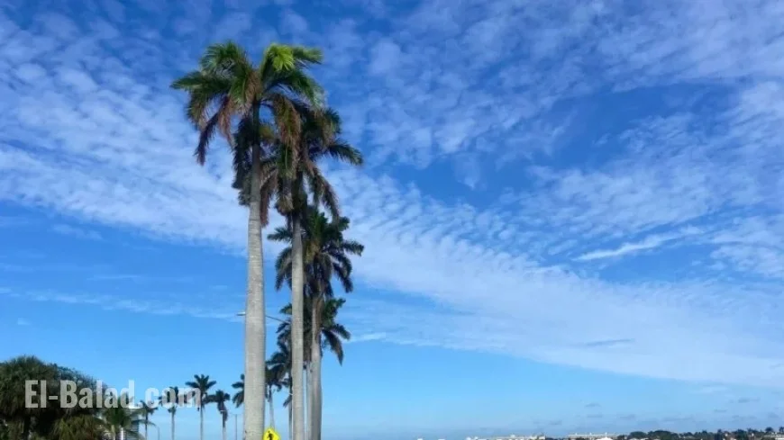 Warm Weekend Anticipated Ahead of Approaching Cold Front