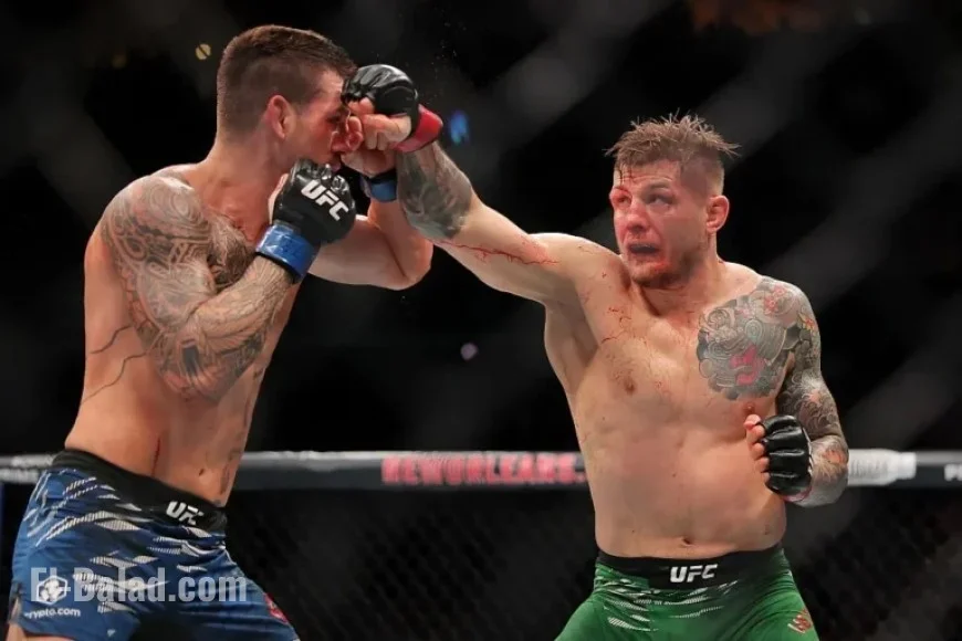 UFC 323: Marvin Vettori vs. Brunno Ferreira Prediction and Pick