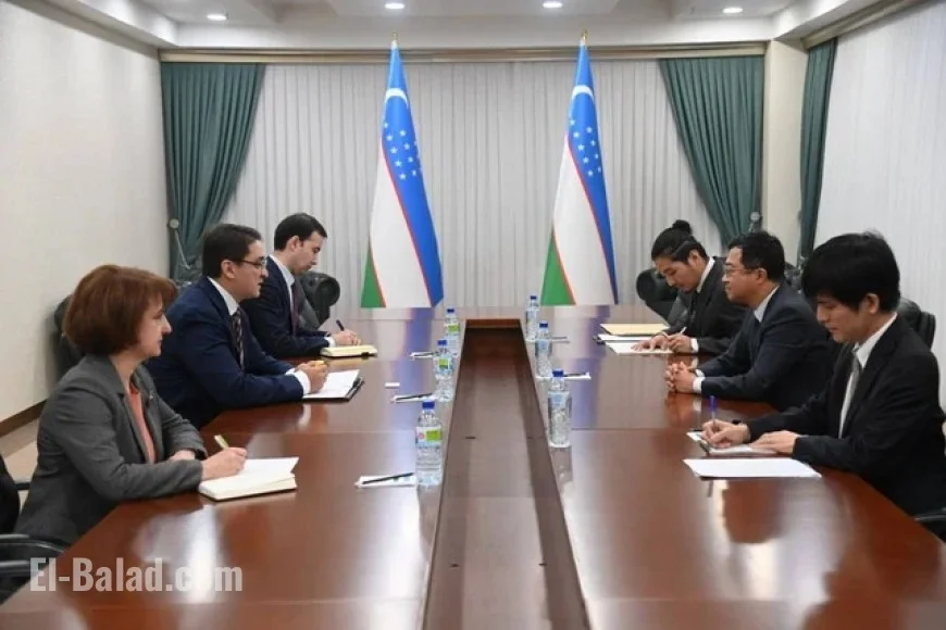 Uzbekistan, Japan Enhance Strategic Partnership Talks