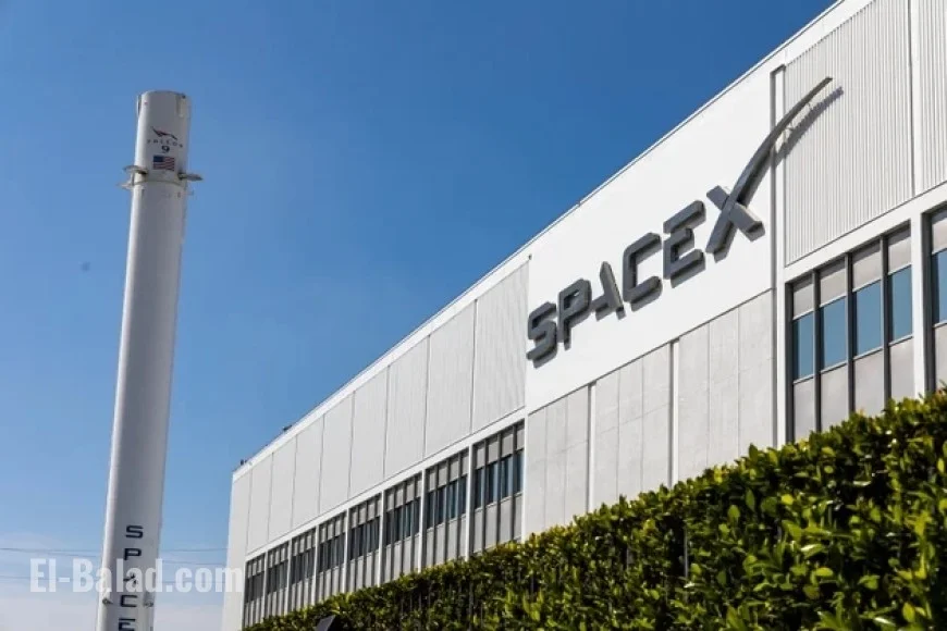 Elon Musk Denies Reports of SpaceX’s $800 Billion Valuation