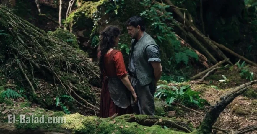 Understanding the Debate on Chloé Zhao’s Hamnet