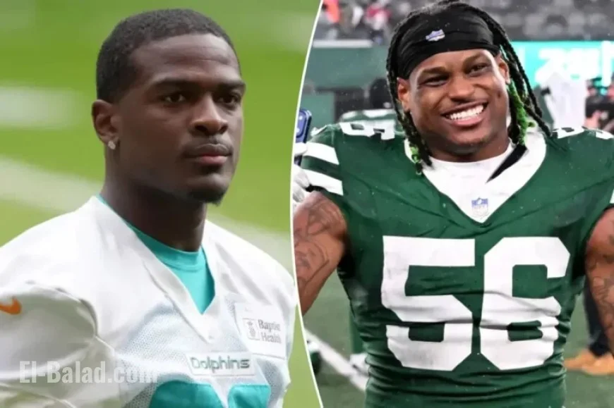 Jets vs. Dolphins: Week 14 Preview and Prediction