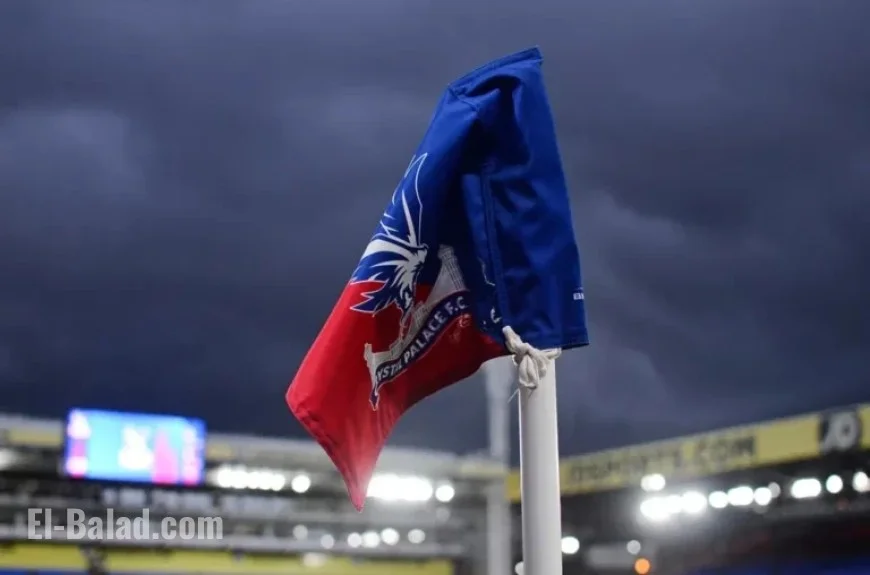 Crystal Palace Star Expresses Deep Frustration