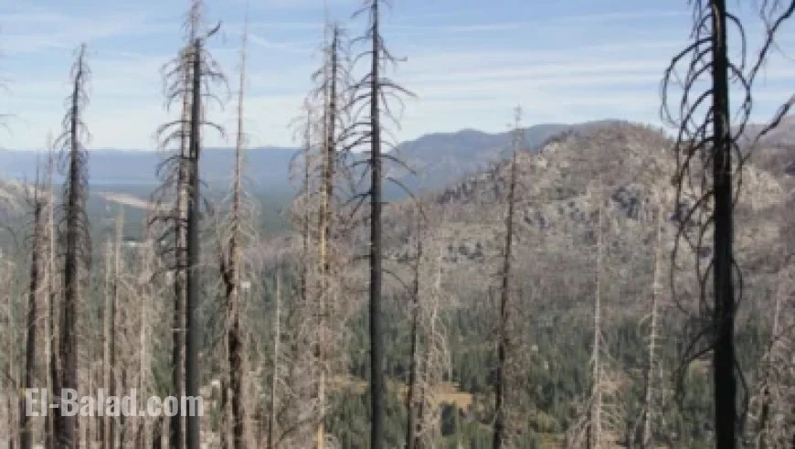 Browns WR Jerry Jeudy’s Season Struggles: Insights from Mary Kay