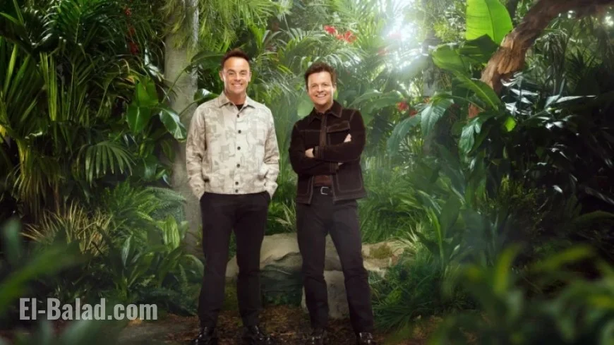 Ant & Dec Disclose ‘I’m a Celeb’ Nearly Changed and Disliked Its Name