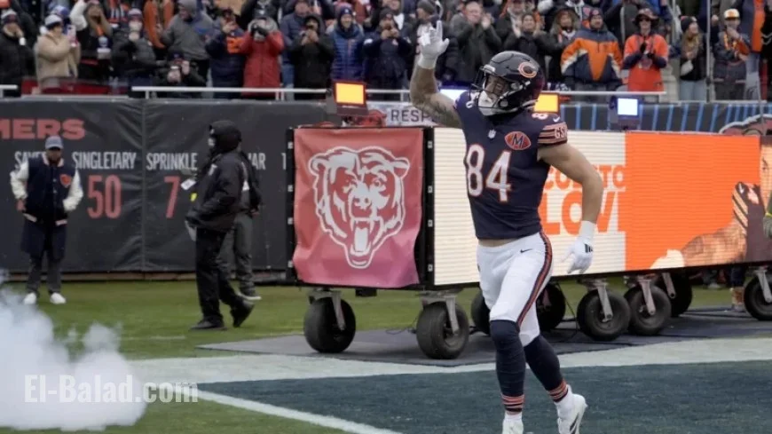 Fantasy Football Week 14: Start Colston Loveland, Sit Harold Fannin Jr.