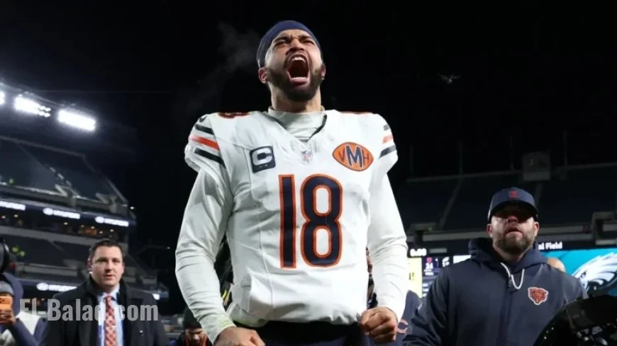 Bears Playoff Outlook: Odds, Schedule, and NFC North Standings