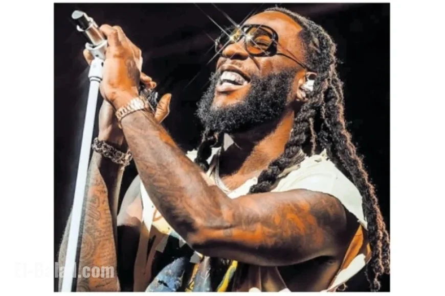 Burna Boy’s Denver Show Highlights Fans’ Influence Across Media Platforms