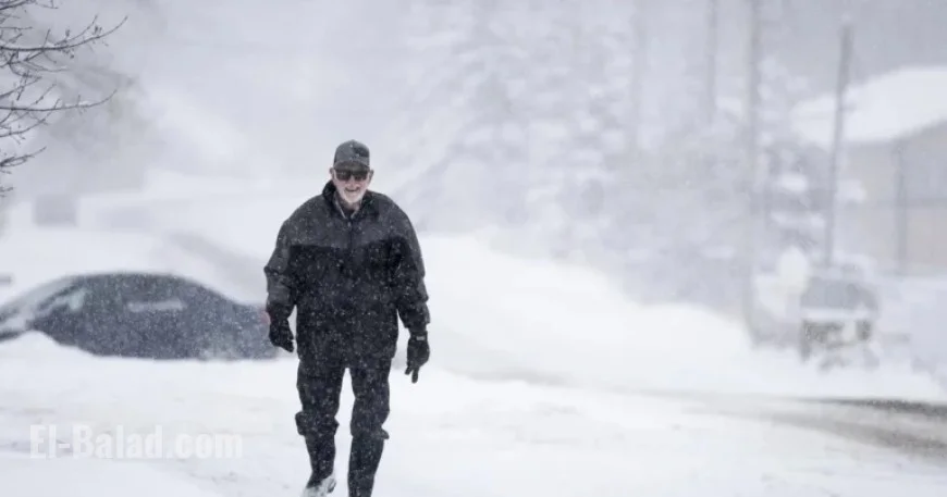 Northern Alberta Braces for Up to 30 cm of Snow by Tuesday