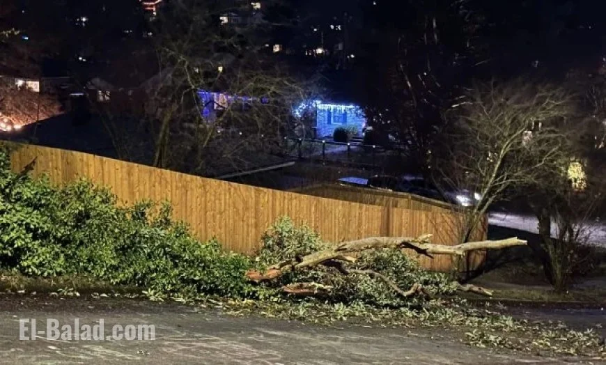 West Seattle Braces for Wind Advisory on Monday