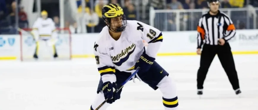 Canadiens’ Hage Delivers Spectacular Highlight-Reel Play