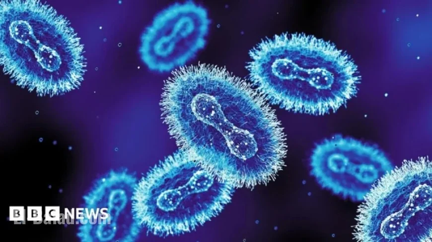 New Mpox Strain Discovered in England
