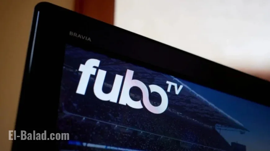 Streaming Platform Cuts Monthly Fees in Uncommon Move