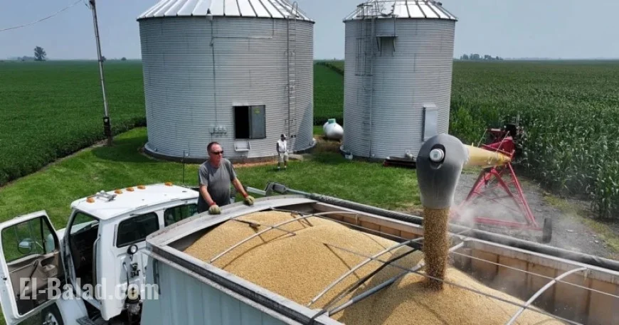 Trump Unveils $12 Billion Aid Package for Farmers