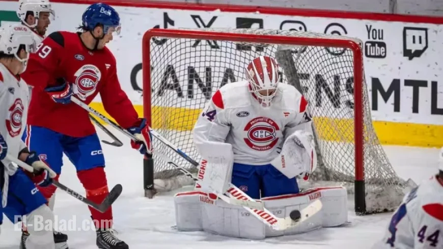 Canadiens Call Up Emergency Goalie
