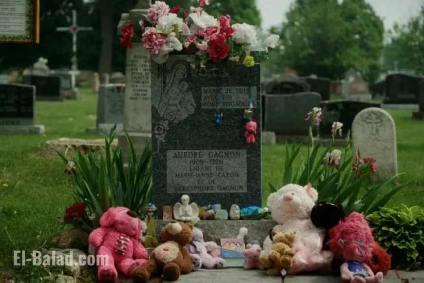 Weekly Documentary: “Aurore” Unveils the Truth Beyond the Myth