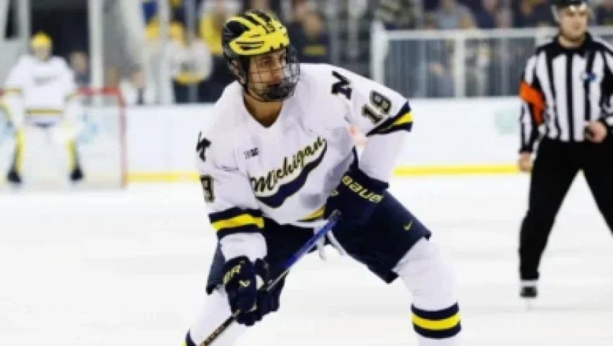 Kaapo Kahkonen Recalled from Laval Rocket