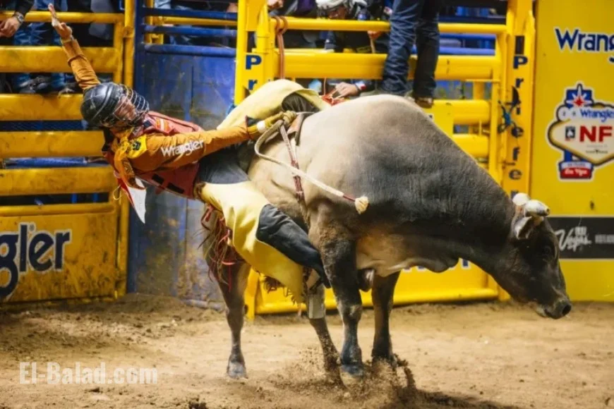 2025 NFR Las Vegas: 4th Go-Round Results from National Finals Rodeo