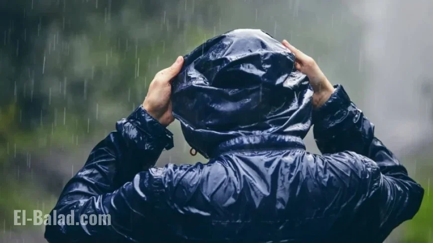 Light Drizzle Today; Patchy Rain and Clouds Expected Tomorrow