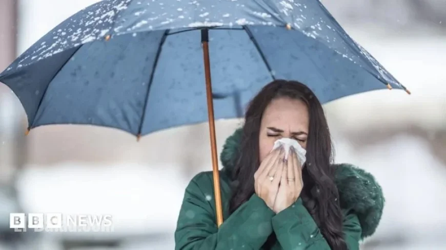 Health Secretary Warns of Imminent Flu Case Surge