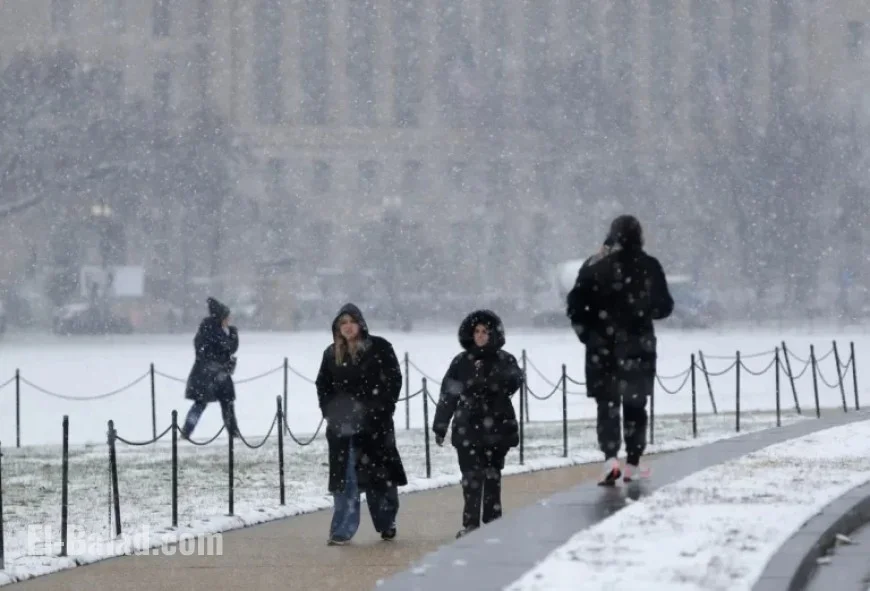 Winter Weather Shock: ‘Freezing Fog’ Alerts Affect Millions