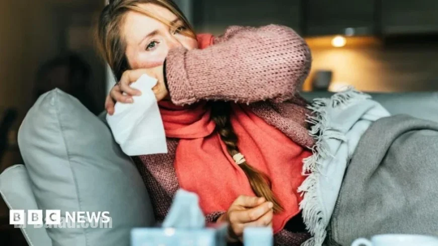 Should You Get the H3N2 Flu Vaccine Amid Severe Season?