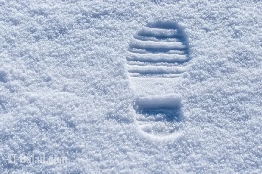 Windsor-Essex Weather Outlook for Tuesday, December 9, 2025