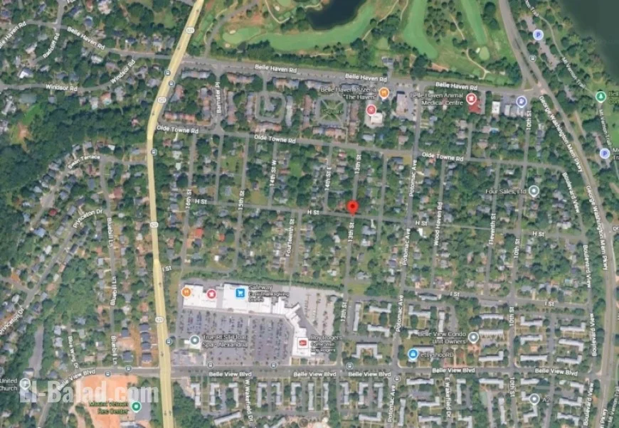 Rabies Found in Cat After Belle Haven Attacks