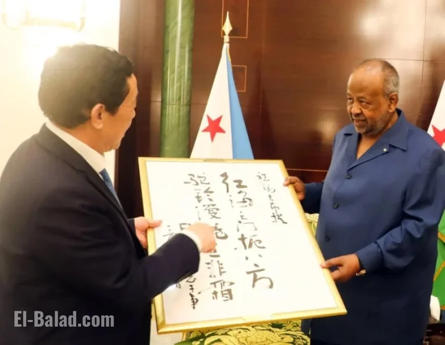 President of Djibouti Ismaïl Omar Guelleh Attends Bilateral Meeting