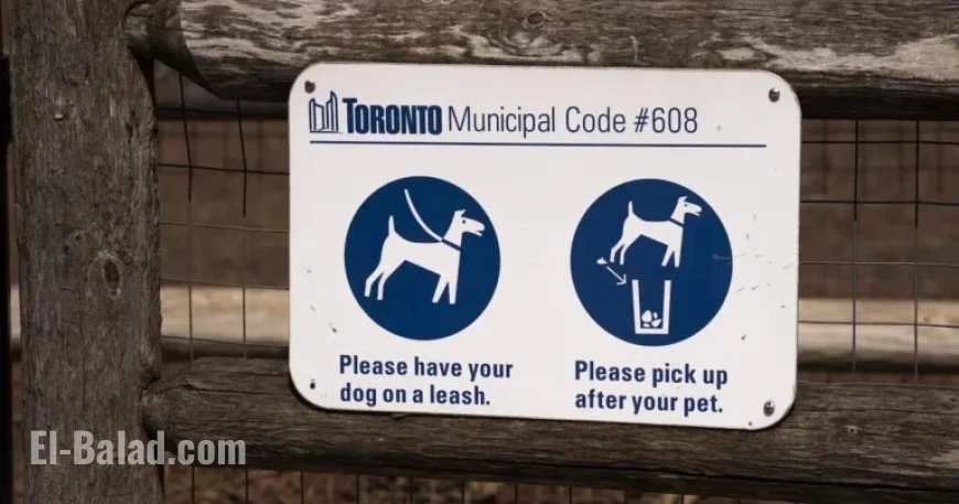 Toronto Woman Jailed for a Year After Dog Attacks Child