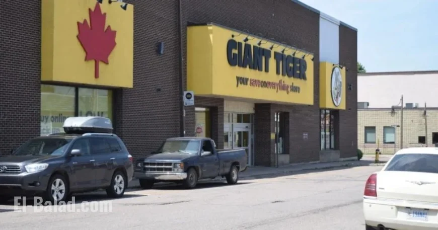 McCain Recalls Tater Tots Sold at Canada’s Giant Tiger