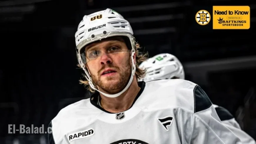 Bruins Face Blues: Key Details You Need to Know