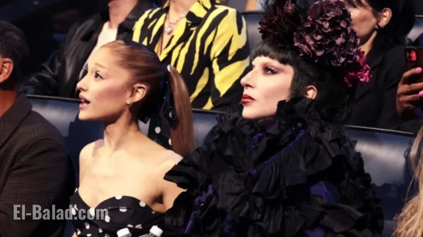 Ariana Grande Fan Ejected from Brisbane Lady Gaga Concert